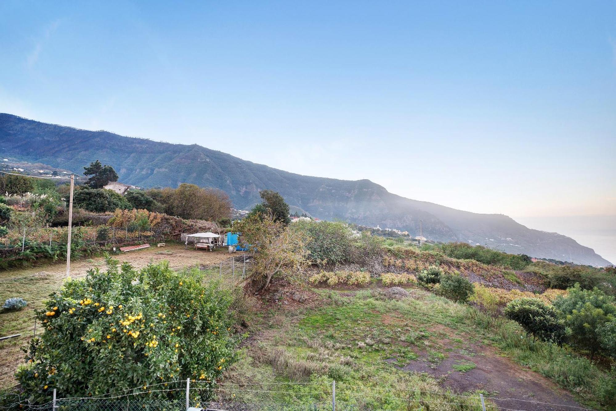הוילה לוס ריאלחוס Casita Rural La Pinera מראה חיצוני תמונה